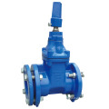 Awwa C515/509 Flanged Resilient Gate Valve with Nut Operator